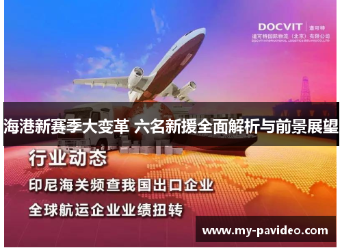 海港新赛季大变革 六名新援全面解析与前景展望 海港新赛季大变革 六名新援全面解析与前景展望