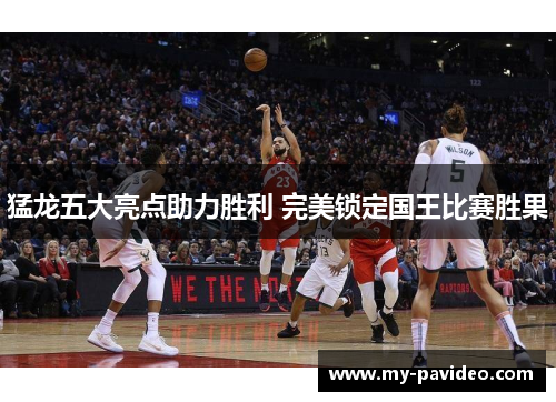 猛龙五大亮点助力胜利 完美锁定国王比赛胜果